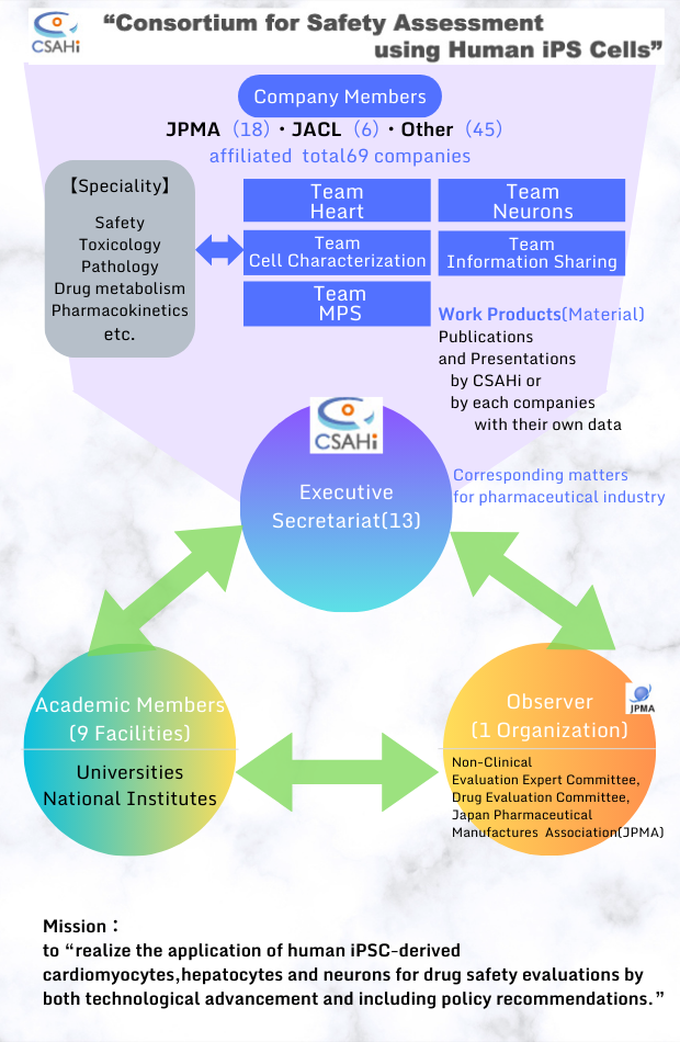 Organizational structure